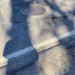Pothole at 811 Hammond St, Chestnut Hill