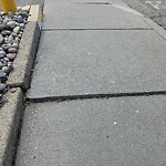 Sidewalk Repair at 429 Harvard St