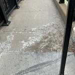 Sidewalk Repair at 102 Cypress St
