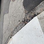 Sidewalk Repair at 36–98 Cumberland Ave, Brookline 02445