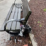 Abandoned Bike at 1–7 Marion St