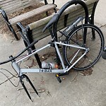 Abandoned Bike at 308 Harvard St