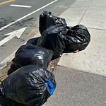 Trash/Recycling at 42.34 N 71.13 W