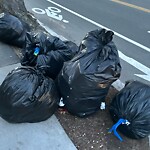 Trash/Recycling at 50 Winchester St