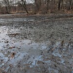 Water and Sewer at Emerald Necklace Trail, Brookline 02446