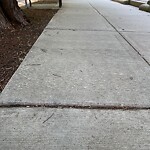 Sidewalk Repair at 1083 Beacon St