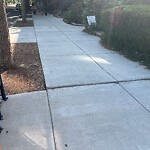 Sidewalk Repair at 1067–1099 Beacon St