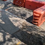 Sidewalk Repair at 40 Centre St