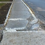 Sidewalk Repair at 52–90 Sewall Ave Sidewalk Repair at 52–90 Sewall Ave