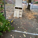 Sidewalk Obstruction at 30 Stetson St Sidewalk Obstruction at 30 Stetson St