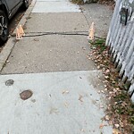 Sidewalk Obstruction at 165 High St Sidewalk Obstruction at 165 High St