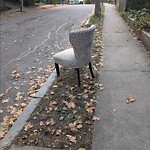 Trash/Recycling at 7 Oakland Rd Trash/Recycling at 7 Oakland Rd