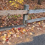 Sidewalk Repair at 216–268 Newton St Sidewalk Repair at 216–268 Newton St