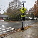 Traffic Signal at 2 Beverly Rd, Chestnut Hill Traffic Signal at 2 Beverly Rd, Chestnut Hill