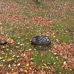 Graffiti at 16–46 Lee St Graffiti at 16–46 Lee St