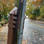 Graffiti at 156 Tappan St Graffiti at 156 Tappan St