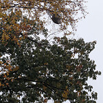 Other at 27 Francis St Other at 27 Francis St