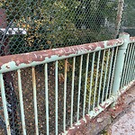 Graffiti at 6 Blake Rd Graffiti at 6 Blake Rd