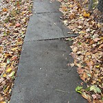 Sidewalk Repair at 61 Clark Rd Sidewalk Repair at 61 Clark Rd