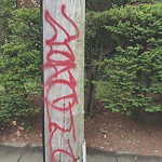 Graffiti at 334 Kent St