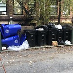 Trash/Recycling at 1017 Beacon St Longwood