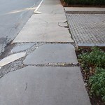 Sidewalk Repair at 50 Longwood Ave