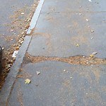 Sidewalk Repair at 46 Longwood Ave