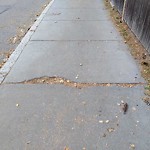 Sidewalk Repair at 46 Longwood Ave