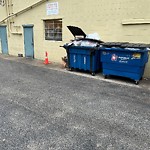 Rodent Issues at 1005 Beacon St