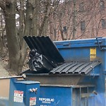 Rodent Issues at 1223 Beacon St