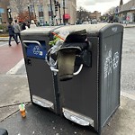 Rodent Issues at 1322 Beacon St