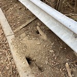 Rodent Issues at 30 Station St