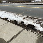 Sidewalk Repair at 42.33 N 71.15 W