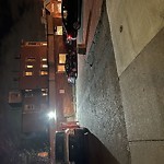 Rodent Issues at 500 Harvard St North Brookline