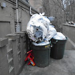 Rodent Issues at 1418 Beacon St Corey Hill