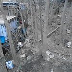 Rodent Issues at 1432 Beacon St Corey Hill