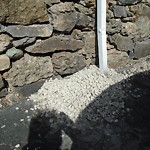 Rodent Issues at 295 Washington St Brookline Village