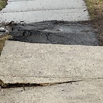 Sidewalk Repair at 33 Abbottsford Rd