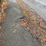 Sidewalk Repair at 3 Spooner Rd