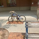 Abandoned Bike at 521 Harvard St