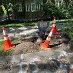 Water and Sewer at 1–33 Penniman Rd
