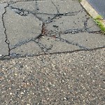 Sidewalk Repair at 121 Grove St