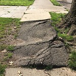 Sidewalk Repair at 34 Abbottsford Rd