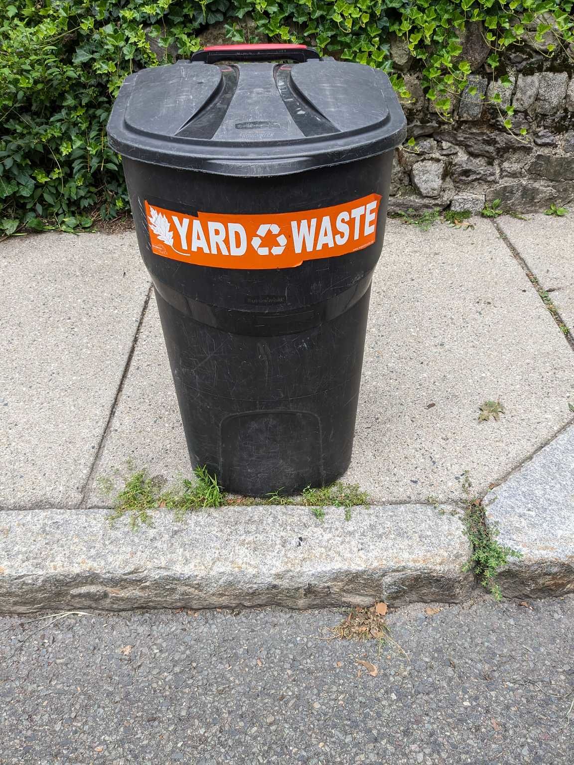 Photo_20230729_073712