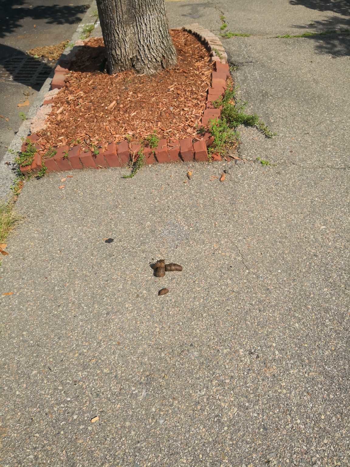 Photo_20230729_095510