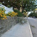 Sidewalk Obstruction at 359–379 Tappan St