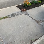 Sidewalk Repair at University Path