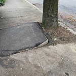 Sidewalk Repair at 135 Aspinwall Ave