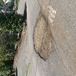 Sidewalk Repair at 7 Fairway Rd Chestnut Hill