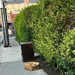 Trash/Recycling at 14 Green St